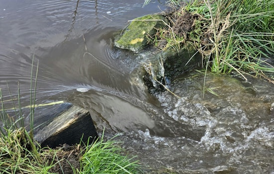 Seattle and King County Fined for Water Quality Permit Violations and Sewer Overflows in 2024