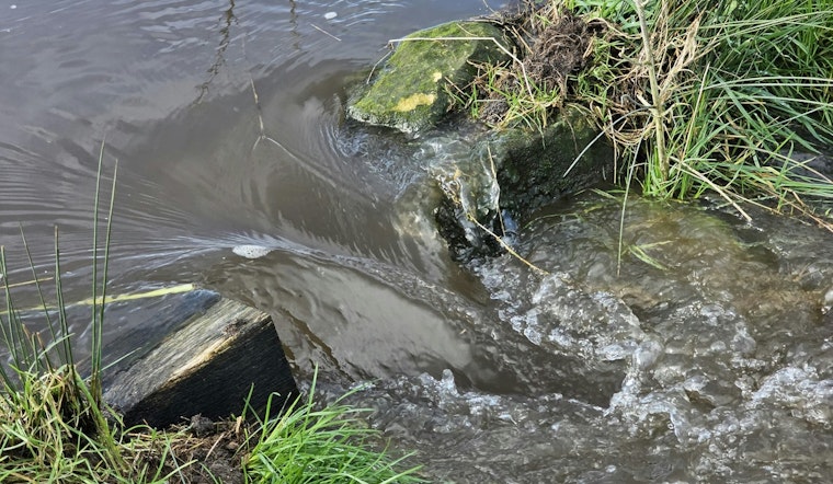 Seattle and King County Fined for Water Quality Permit Violations and Sewer Overflows in 2024
