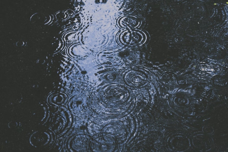 Seattle Braces for Wind Advisory and Persistent Rain, NWS Advises Caution for Northwest Washington