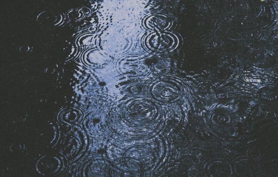 Seattle Braces for Wind Advisory and Persistent Rain, NWS Advises Caution for Northwest Washington
