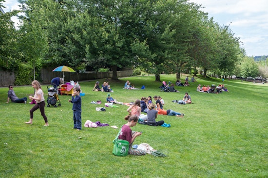 Seattle Springs into Action with "Foresting Seattle" Initiative During Seattle Forest Week