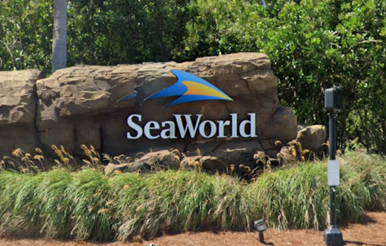 SeaWorld Accused of Deceptive Ticket Pricing in Class Action Lawsuit