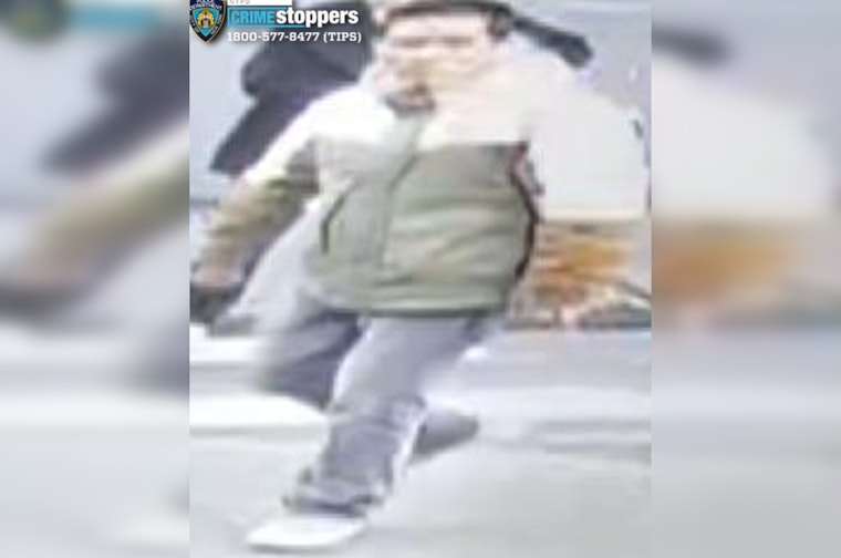 Senior Citizen and Child Hurt in Chinatown Skateboard Assault NYPD Appeals for Public Assistance