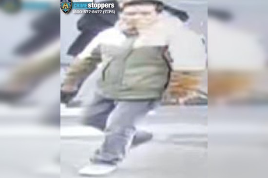 Senior Citizen and Child Hurt in Chinatown Skateboard Assault NYPD Appeals for Public Assistance