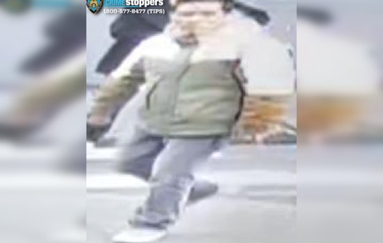 Senior Citizen and Child Hurt in Chinatown Skateboard Assault NYPD Appeals for Public Assistance