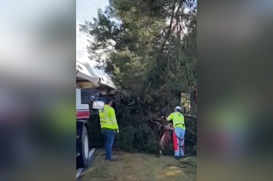 Severe Storms Leave Houston Reeling: Power Outages and Road Closures Amid Cleanup Efforts