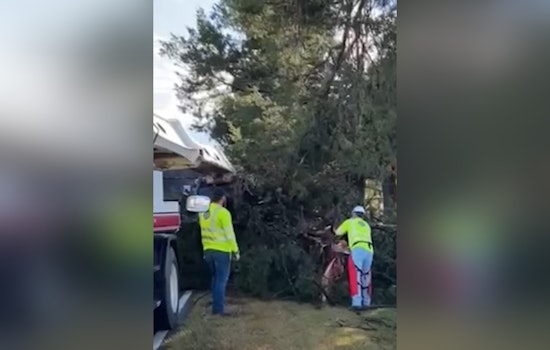 Severe Storms Leave Houston Reeling: Power Outages and Road Closures Amid Cleanup Efforts