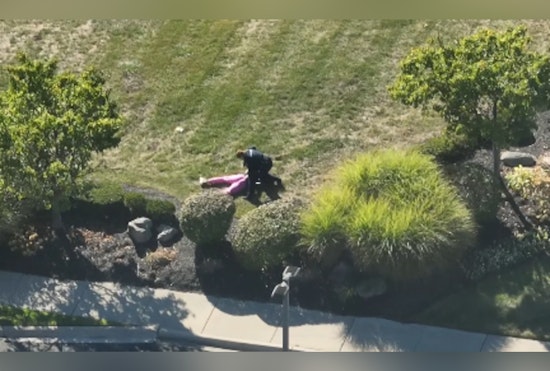 Shelby Township Police Nab Suspect in Facebook Marketplace iPad Theft After Pursuit
