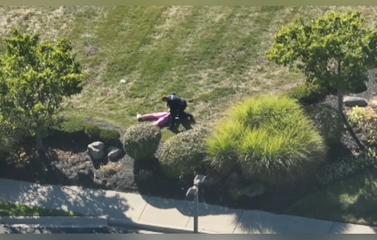 Shelby Township Police Nab Suspect in Facebook Marketplace iPad Theft After Pursuit