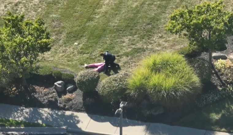 Shelby Township Police Nab Suspect in Facebook Marketplace iPad Theft After Pursuit