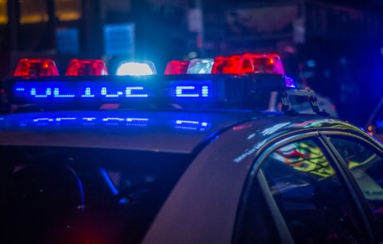 Sin City Sting, Vegas Vixens Busted in FBI-Led Human Trafficking Raid
