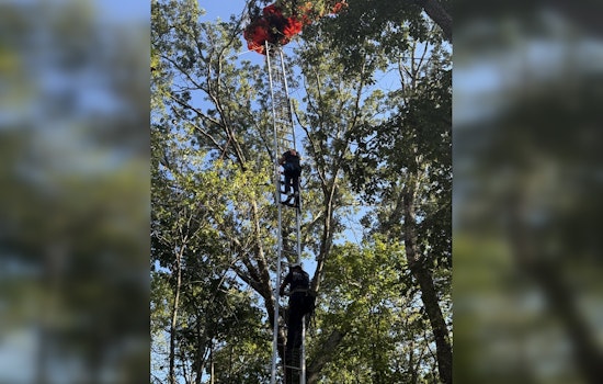 Skydiving Instructor Dies, Student Rescued from Tree After Accident Near Nashville