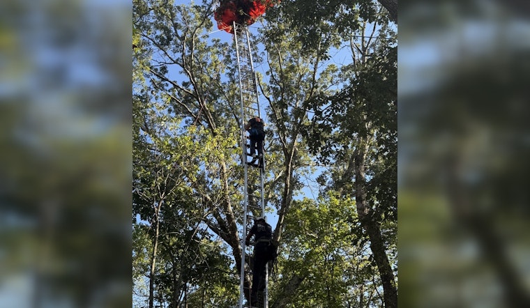 Skydiving Instructor Dies, Student Rescued from Tree After Accident Near Nashville