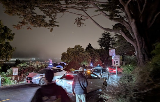 So-Called 'First Waymo DDoS' Attack Came from Same Tech Prankster Who Tracked Parking Cops Last Month