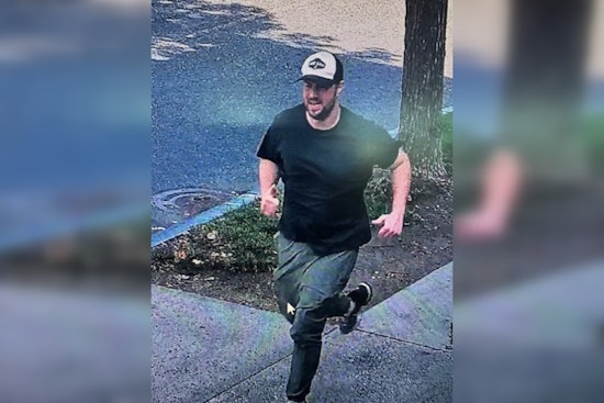 Springfield Police Arrest One, Seek Second Suspect in Library and Museum Theft and Recover Over $500 in Donations