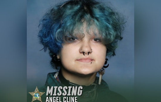 St. Johns County Sheriff's Office Seeks Public Help in Search for Missing Angel Cline Since February 19