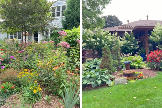 St. Louis Park Celebrates Local Green-Thumbed Residents with 2025 Evergreen Awards