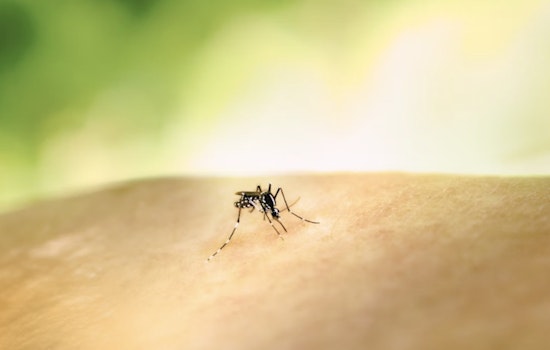 Sugar Land Officials Warn of Mosquitoes Carrying West Nile Virus and Urge Precautions