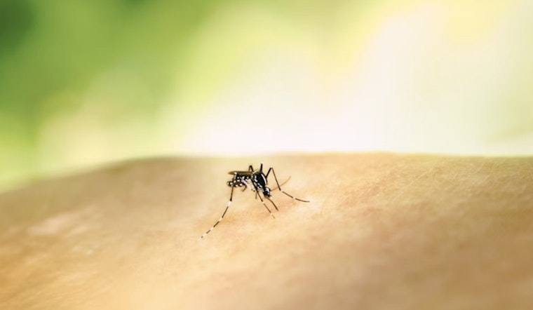 Sugar Land Officials Warn of Mosquitoes Carrying West Nile Virus and Urge Precautions