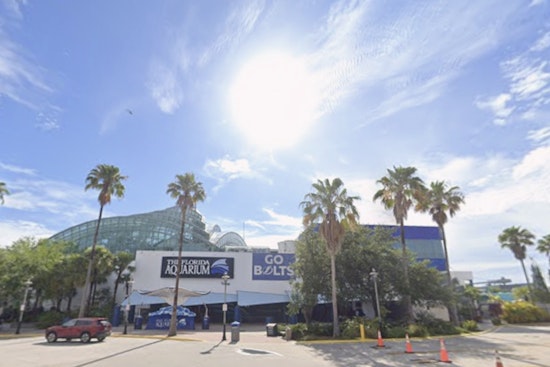 Sunny Skies and Pleasant Temperatures Ahead for Tampa Residents, Says National Weather Service