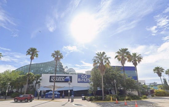 Sunny Skies and Pleasant Temperatures Ahead for Tampa Residents, Says National Weather Service