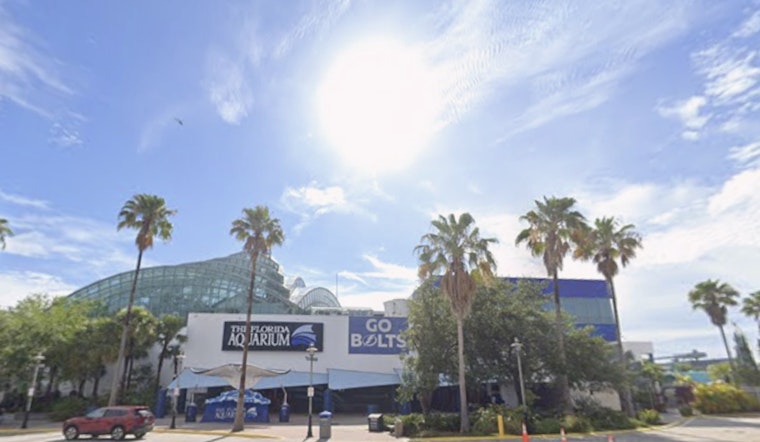 Sunny Skies and Pleasant Temperatures Ahead for Tampa Residents, Says National Weather Service