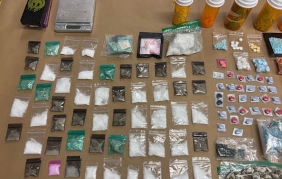 Sunnyvale Bust Reveals Narcotics Cache, Two Suspects Arrested in Multi-Agency Operation