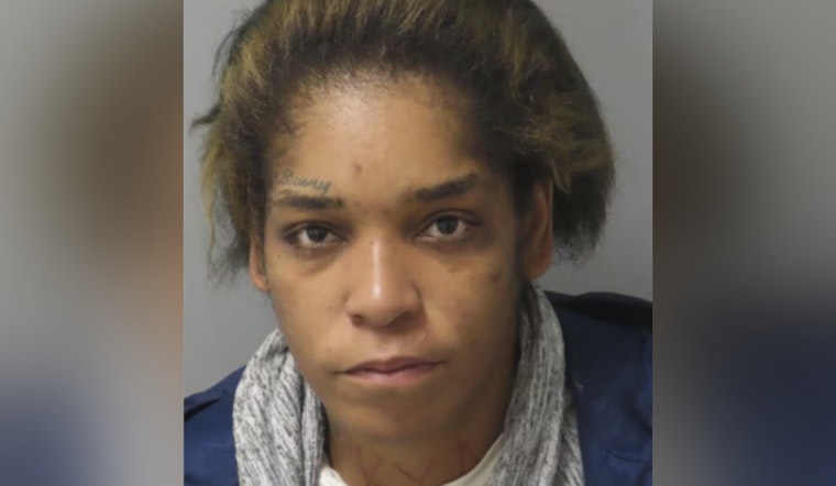 Suspect Charged After Stabbing Two Passengers on St. Louis MetroBus