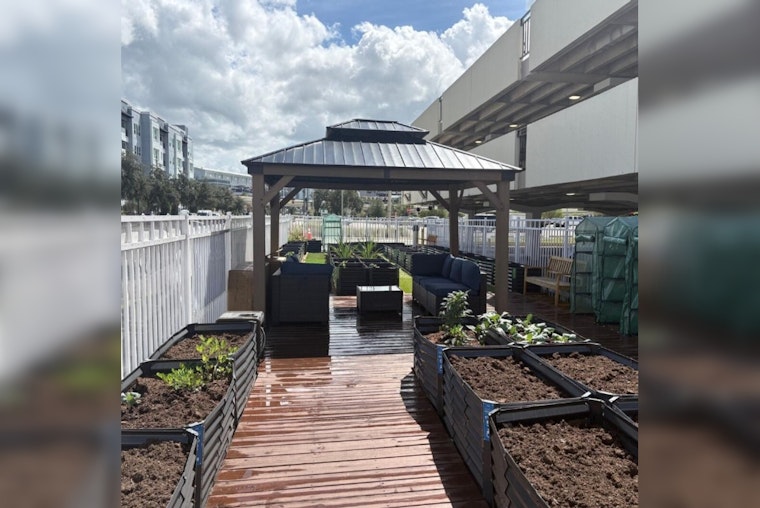 Tampa Invites Residents to Cultivate Connection with New Community Garden Initiative