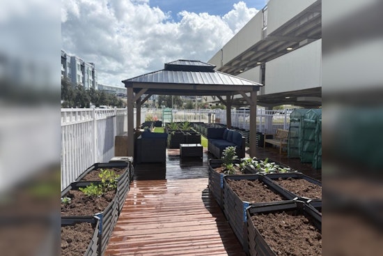 Tampa Invites Residents to Cultivate Connection with New Community Garden Initiative