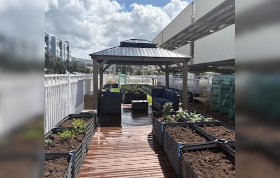Tampa Invites Residents to Cultivate Connection with New Community Garden Initiative