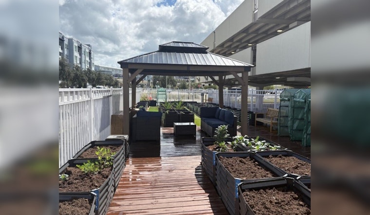 Tampa Invites Residents to Cultivate Connection with New Community Garden Initiative