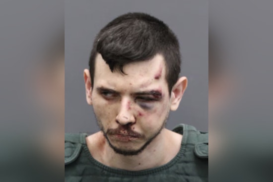 Tampa Police Arrest Suspect After Shooting and Multi-Vehicle Collision on Selmon Expressway
