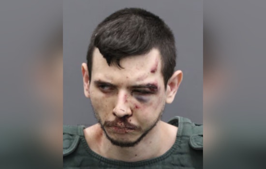 Tampa Police Arrest Suspect After Shooting and Multi-Vehicle Collision on Selmon Expressway