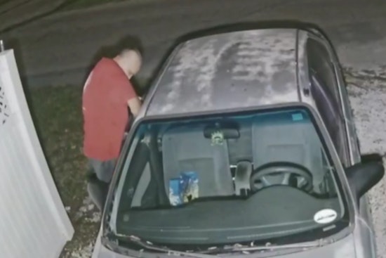 Tampa Police Seek Public's Help to Track Down Uniquely Decorated Stolen Car