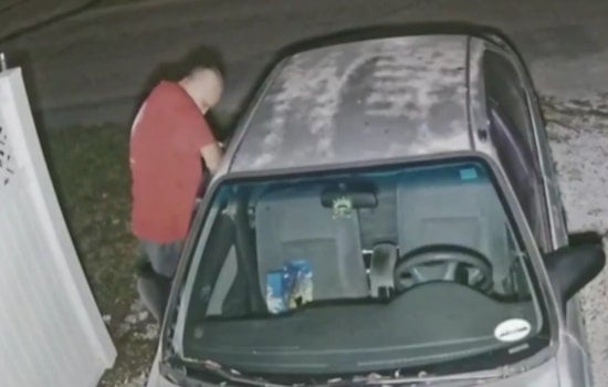 Tampa Police Seek Public's Help to Track Down Uniquely Decorated Stolen Car