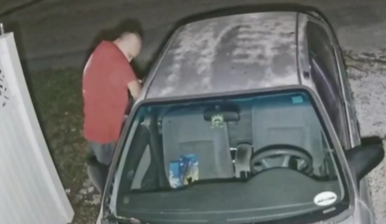 Tampa Police Seek Public's Help to Track Down Uniquely Decorated Stolen Car
