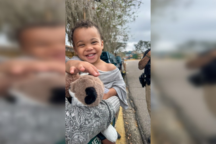 Tampa Toddler Found Safe After Extensive Search by Hillsborough County Sheriff's Office and Community Efforts