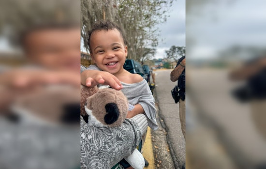 Tampa Toddler Found Safe After Extensive Search by Hillsborough County Sheriff's Office and Community Efforts