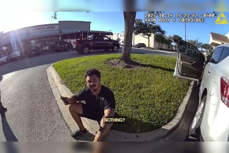 Tampa Traffic Stop Leads to Arrest of Convicted Felon Found With Drugs and Ammunition