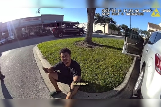 Tampa Traffic Stop Leads to Arrest of Convicted Felon Found With Drugs and Ammunition