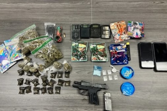 Tampa Woman Arrested for Possession of Drugs and Firearm During Traffic Stop