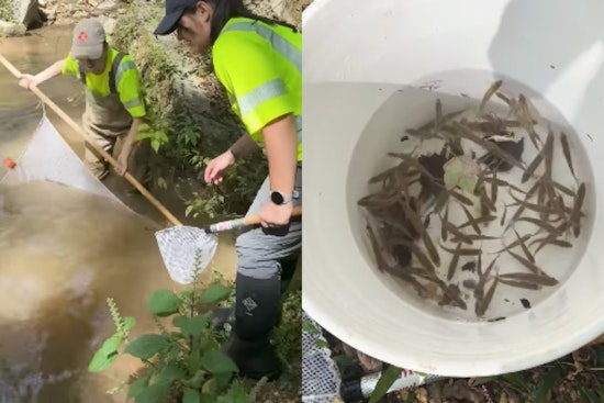 TDOT Conducts Fish Surveys for Environmental Assessment Ahead of Centerville Bridge Project