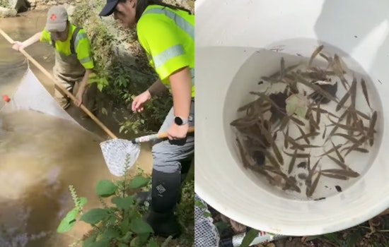 TDOT Conducts Fish Surveys for Environmental Assessment Ahead of Centerville Bridge Project