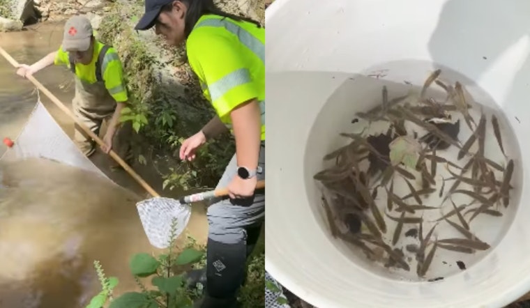 TDOT Conducts Fish Surveys for Environmental Assessment Ahead of Centerville Bridge Project