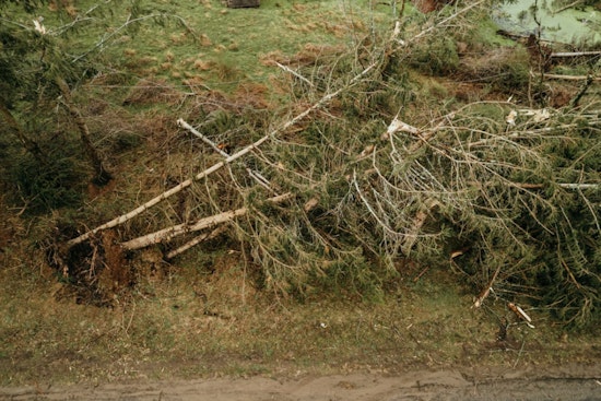 Tempe Community Bands Together in Wake of Destructive Microburst, Cleanup Operations Begin