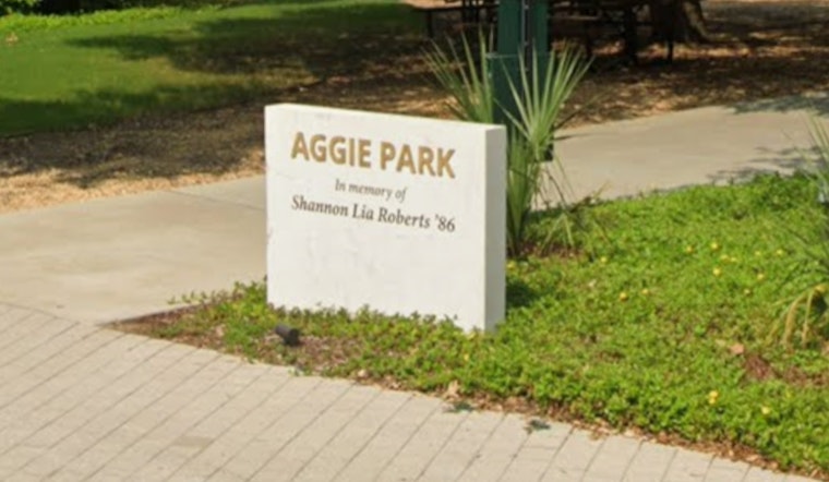 Texas A&M Game Day Marred by Excessive Drinking, Man's BAC Hits Quadruple the Legal Limit