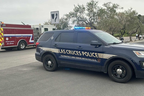 Third Suspect Detained in Connection with Deadly Salopek Park Shooting in Las Cruces