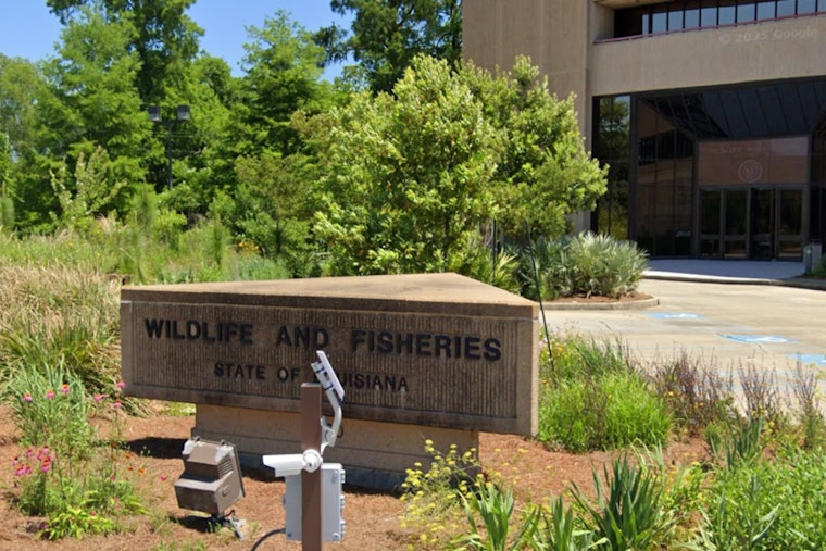 Three Honduran Nationals Cited for Wildlife Management Violations in Ascension Parish, Louisiana