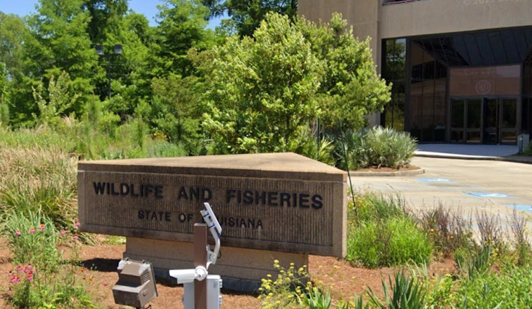 Three Honduran Nationals Cited for Wildlife Management Violations in Ascension Parish, Louisiana